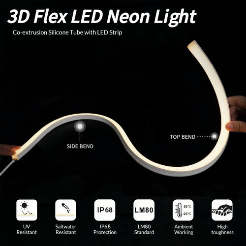 Quality LED Neon Strip Light & Neon Flexible Strip Light factory from China